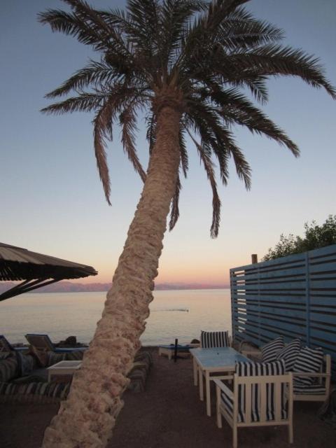 El Primo Hotel Dahab Exterior photo